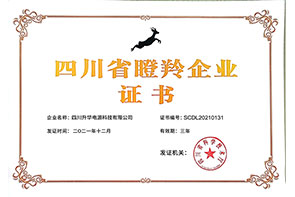 四川省瞪羚企業(yè)